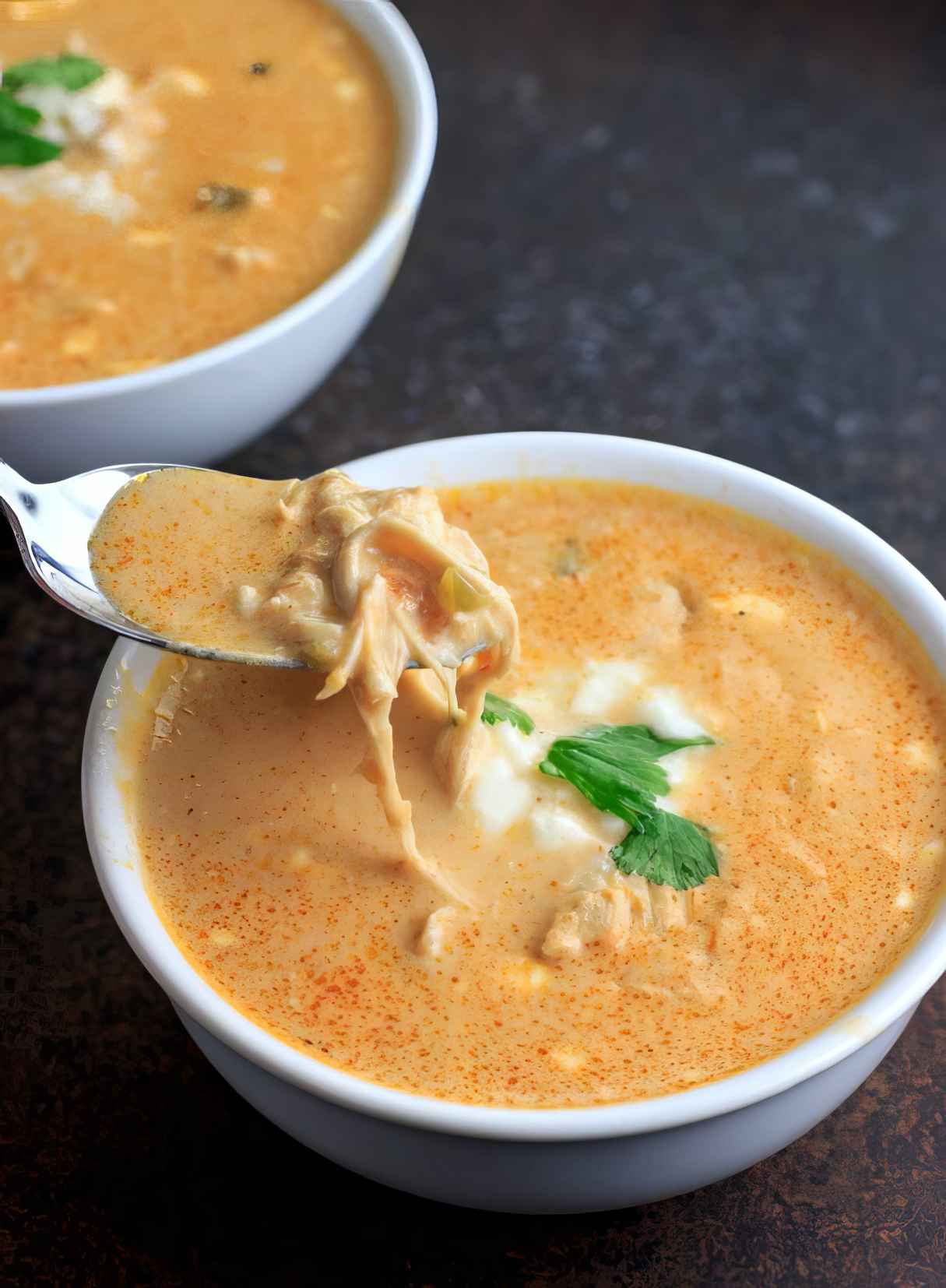 Creamy, Cheesy and Very Good Instant Pot Chicken Salsa Queso Soup