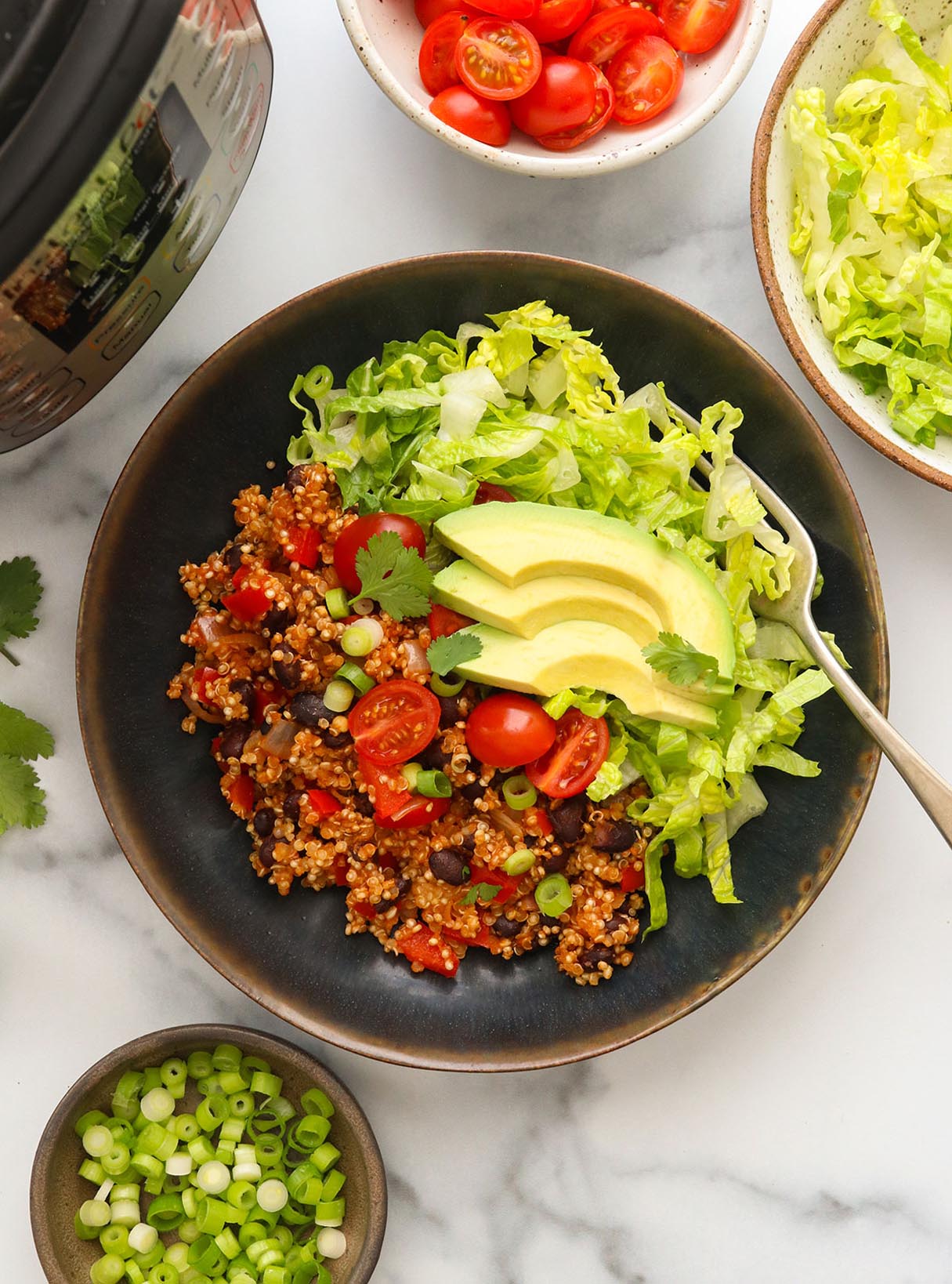 Quinoa Burrito Bowls - Easy Weeknight Meal made in Instant Pot