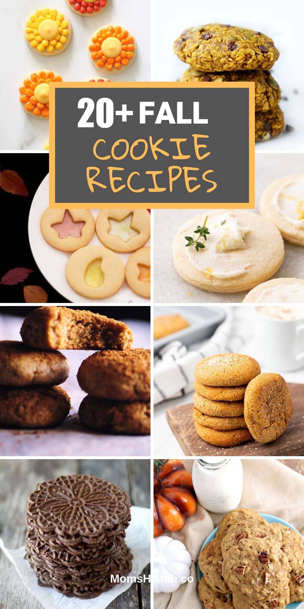 20+ Fall Cookies Recipes