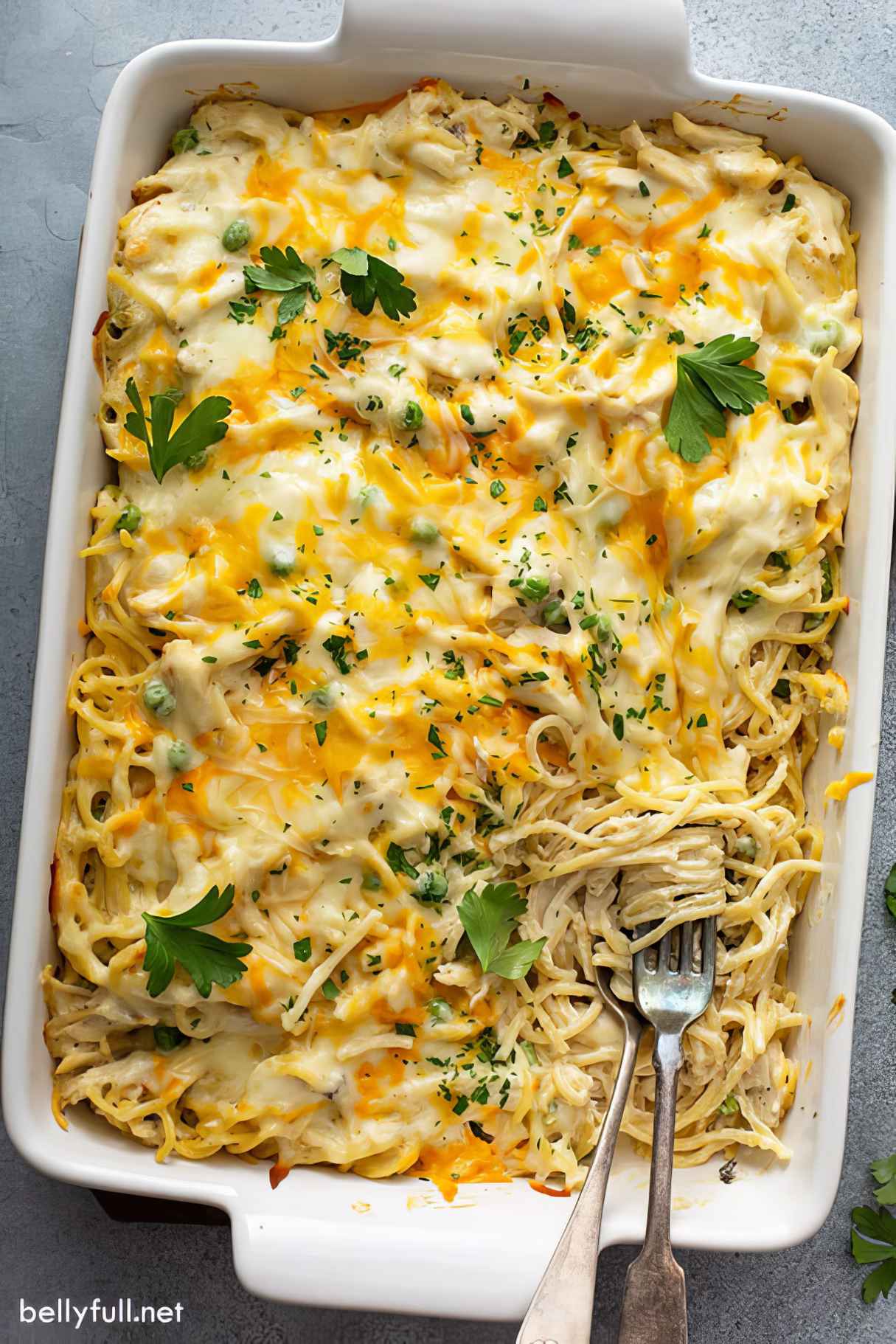 Easy Chicken Tetrazzini May Also Like
