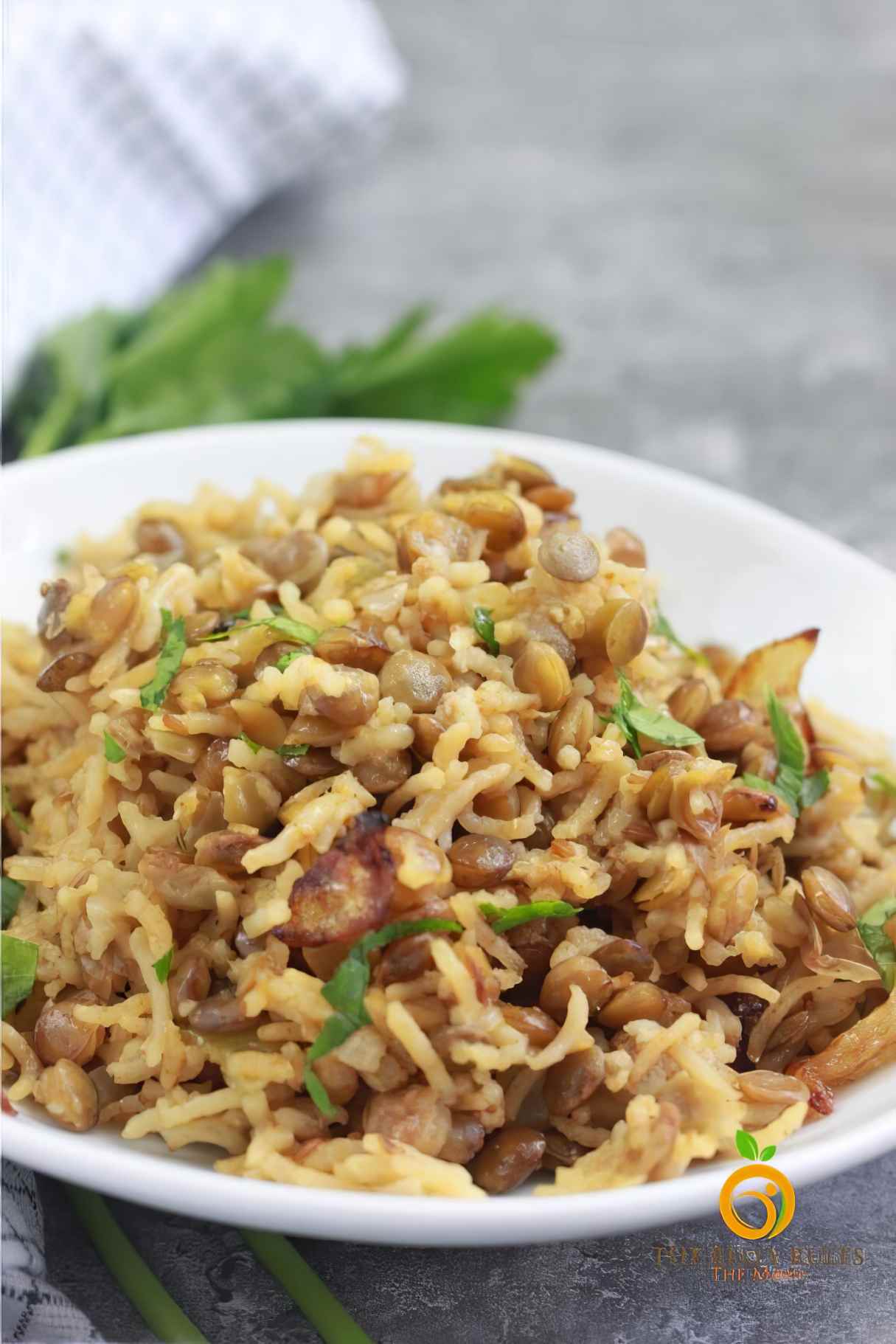 Instant Pot Mujadara Lentils and Rice