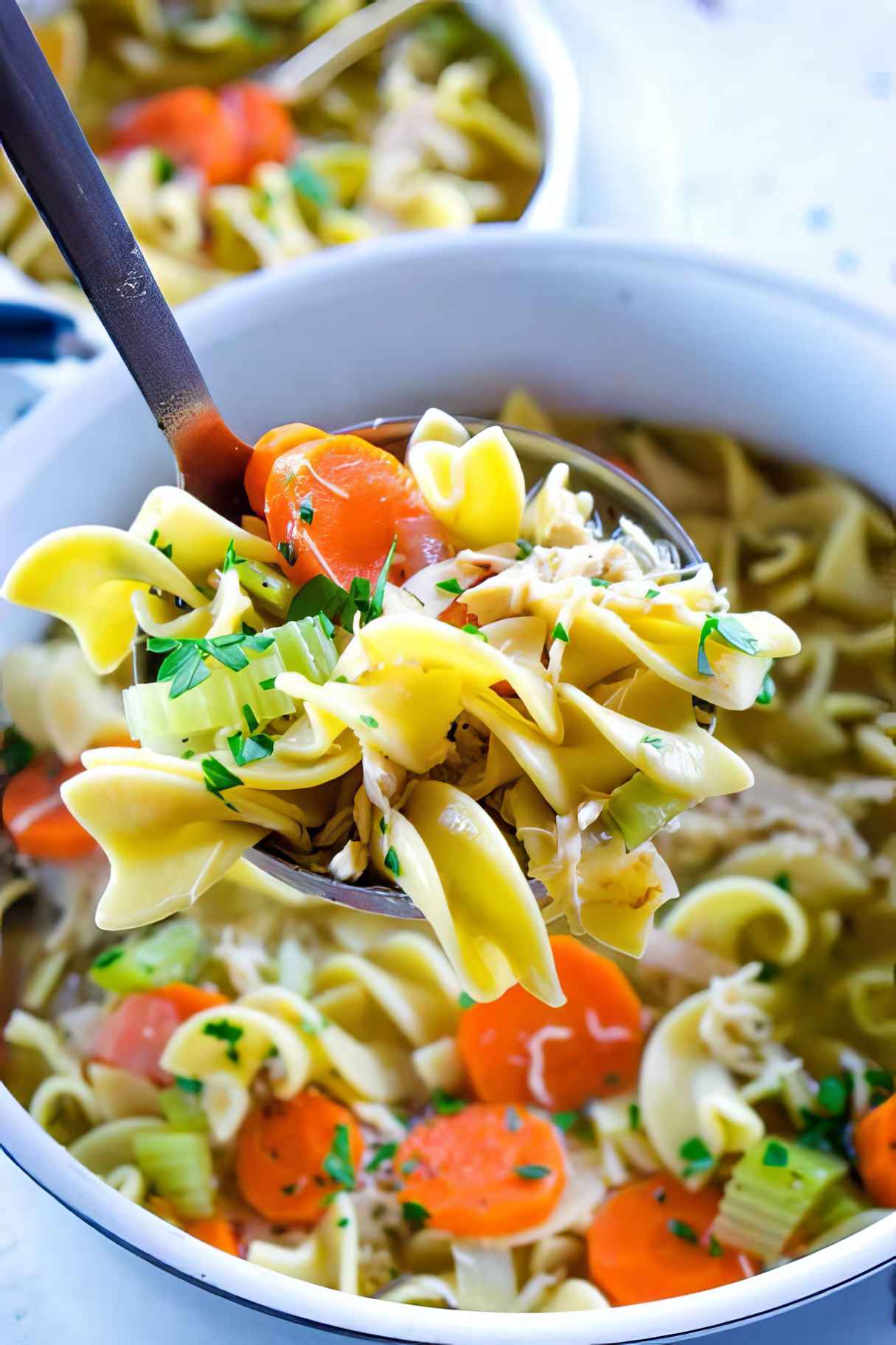 Classic Rotisserie Chicken Noodle Soup