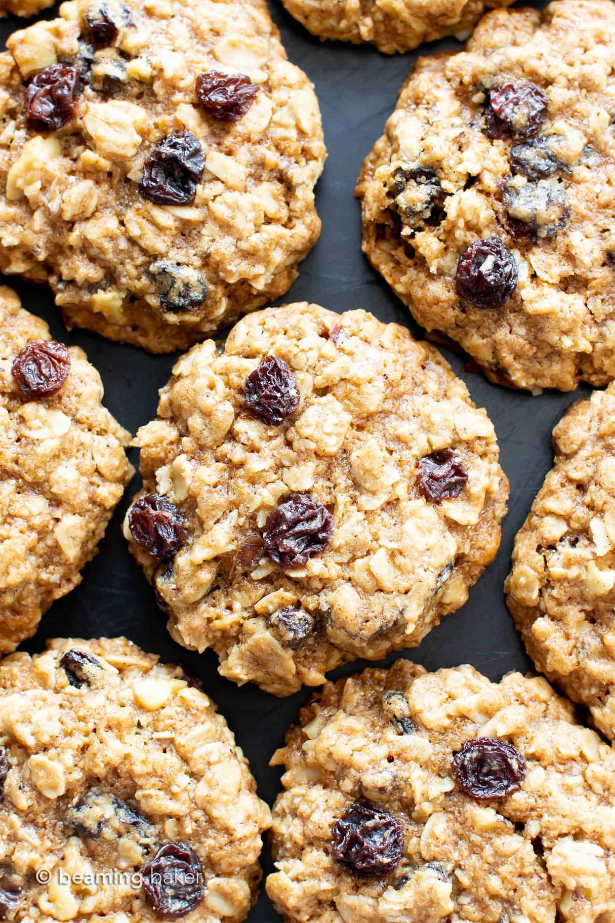 Gluten Free Oatmeal Raisin Protein Cookie