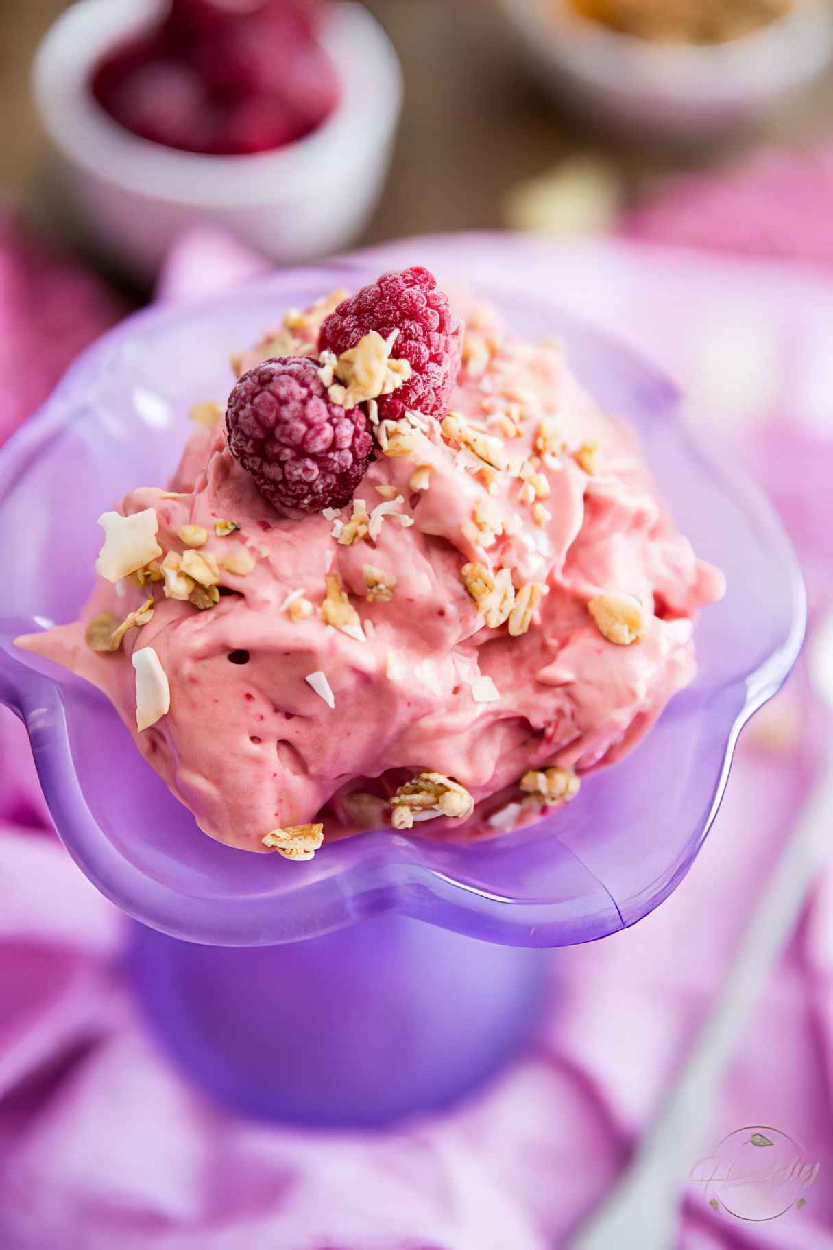 High Protein Frozen Yogurt