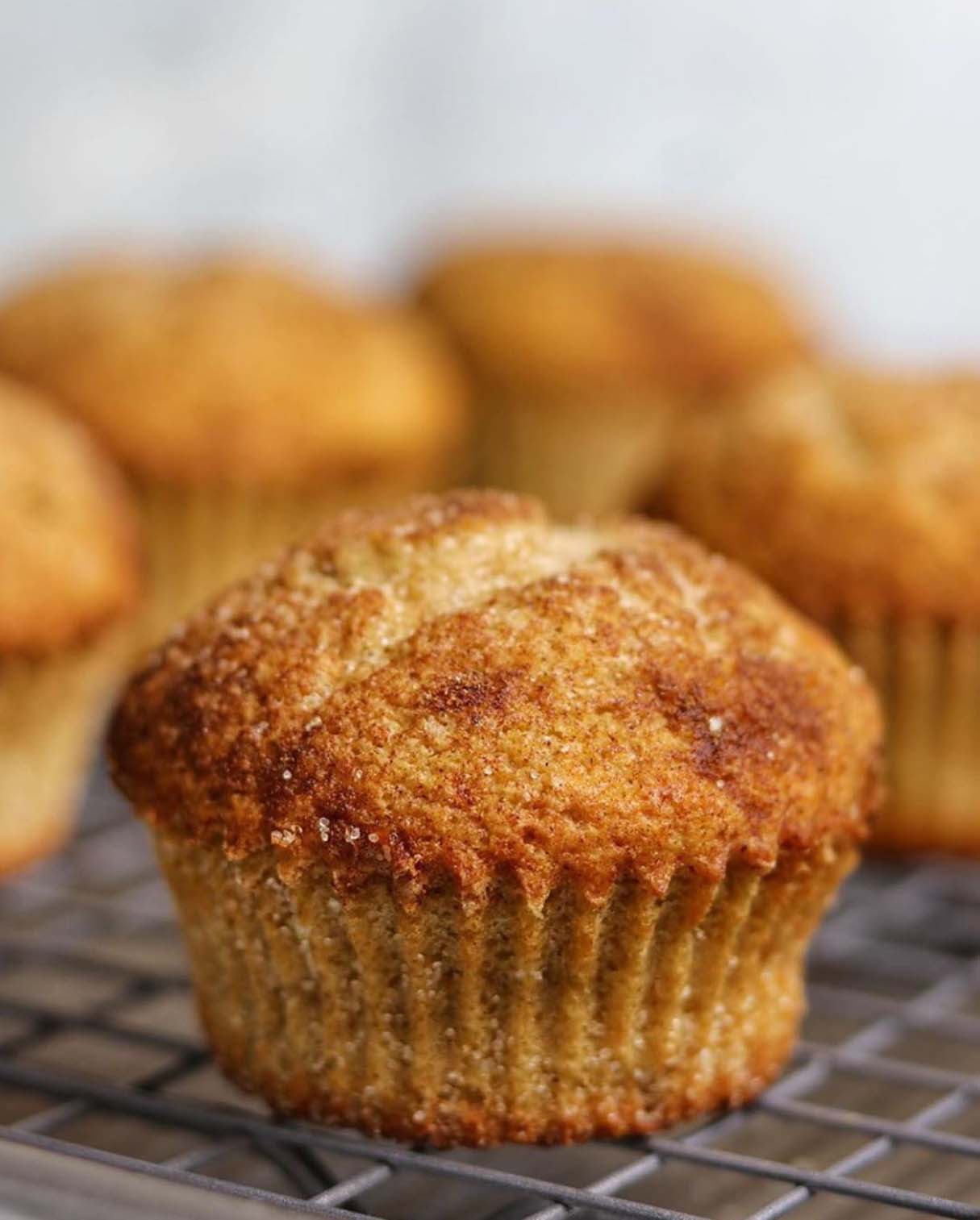 High Protein Snickerdoodle Muffins