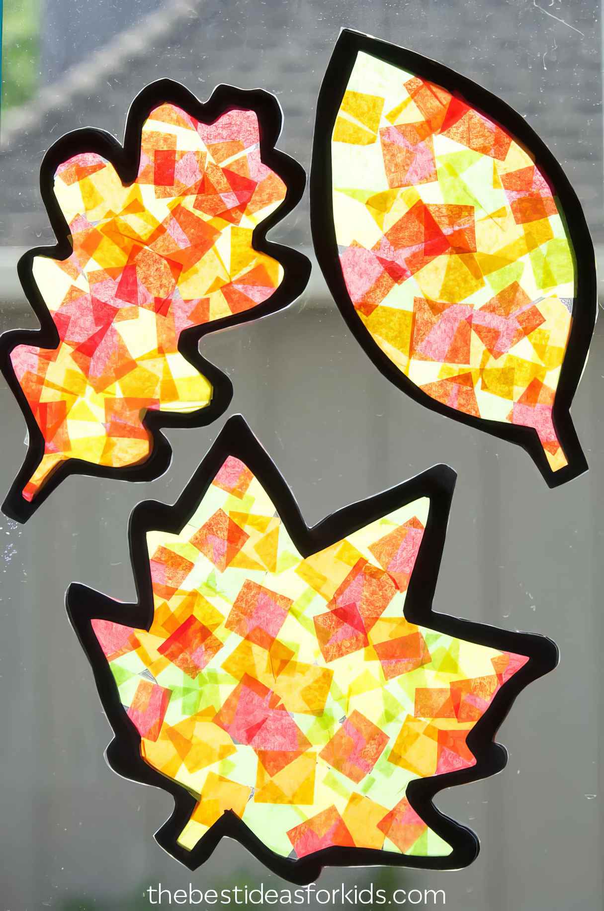 Leaf Suncatcher - Easy Fall Craft for Kids