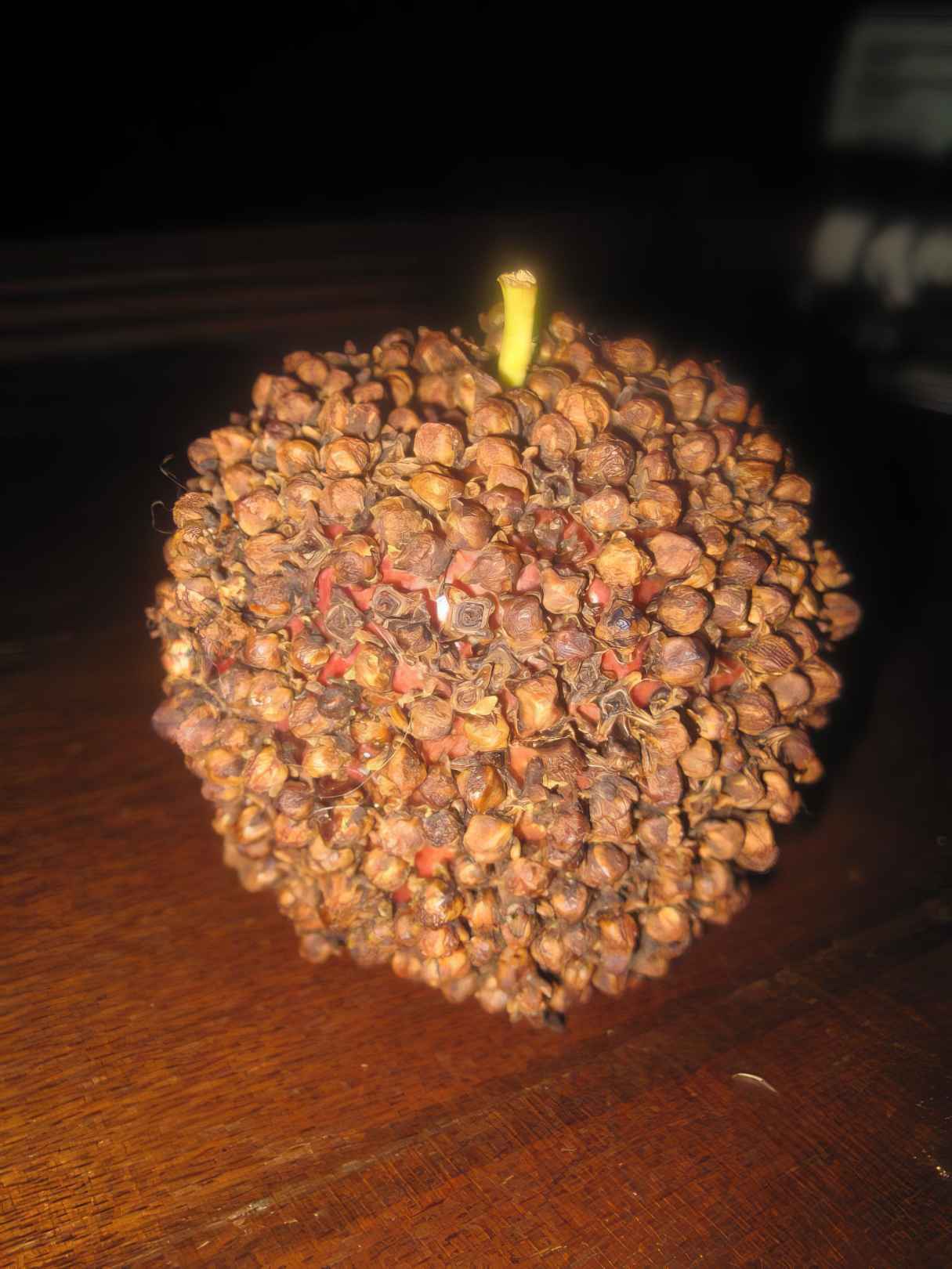 Easy Handmade Pomander Balls