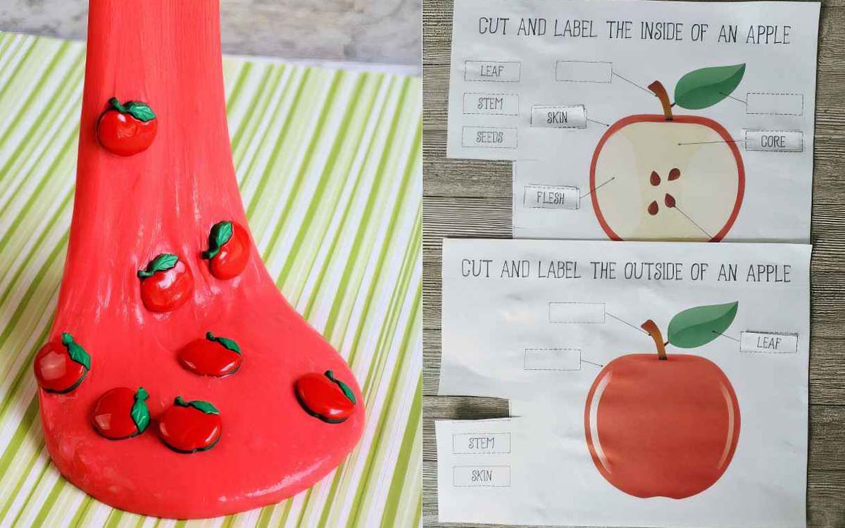 Fun Preschool Apple Activities