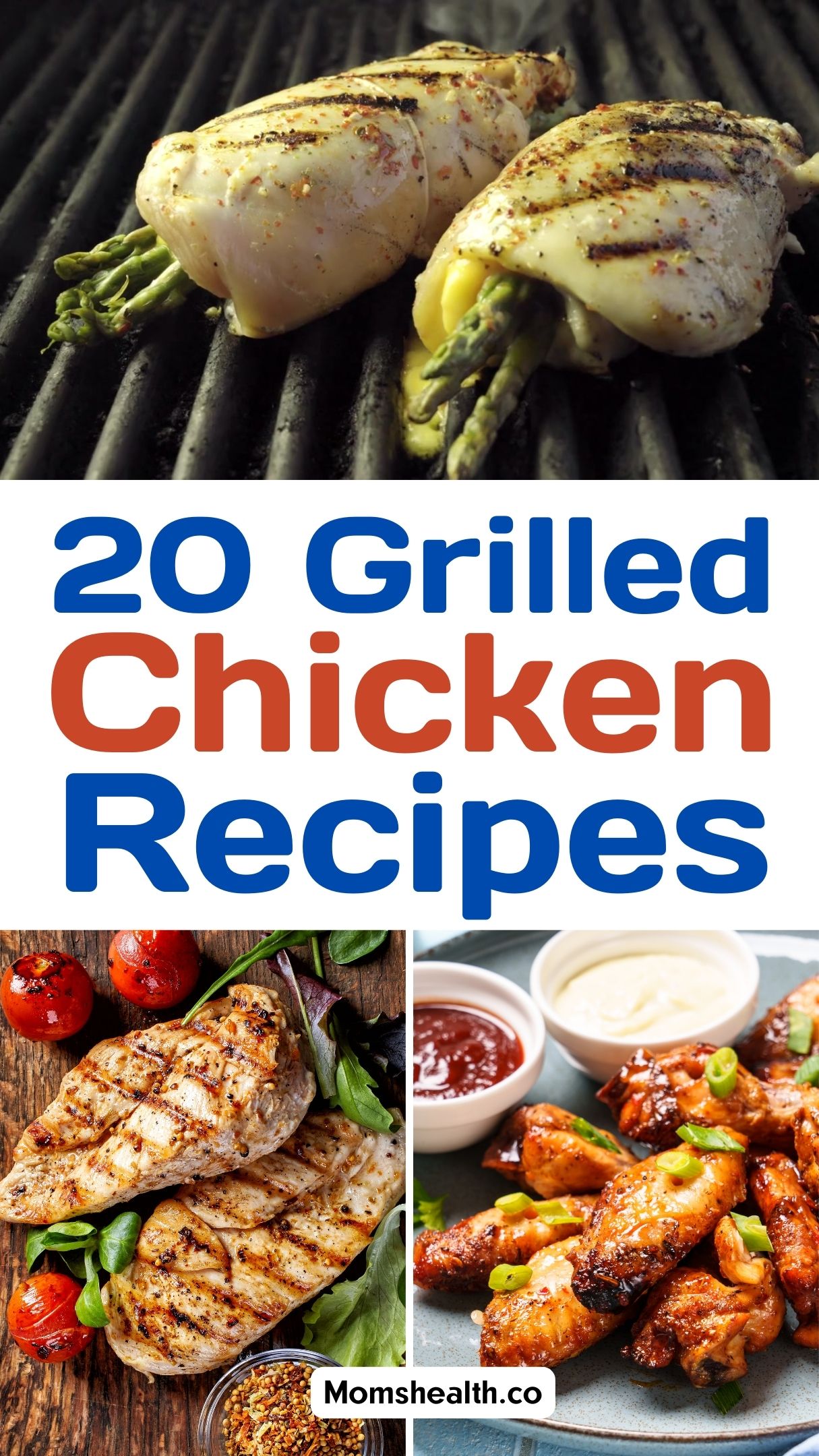 Grilled Chicken Recipes