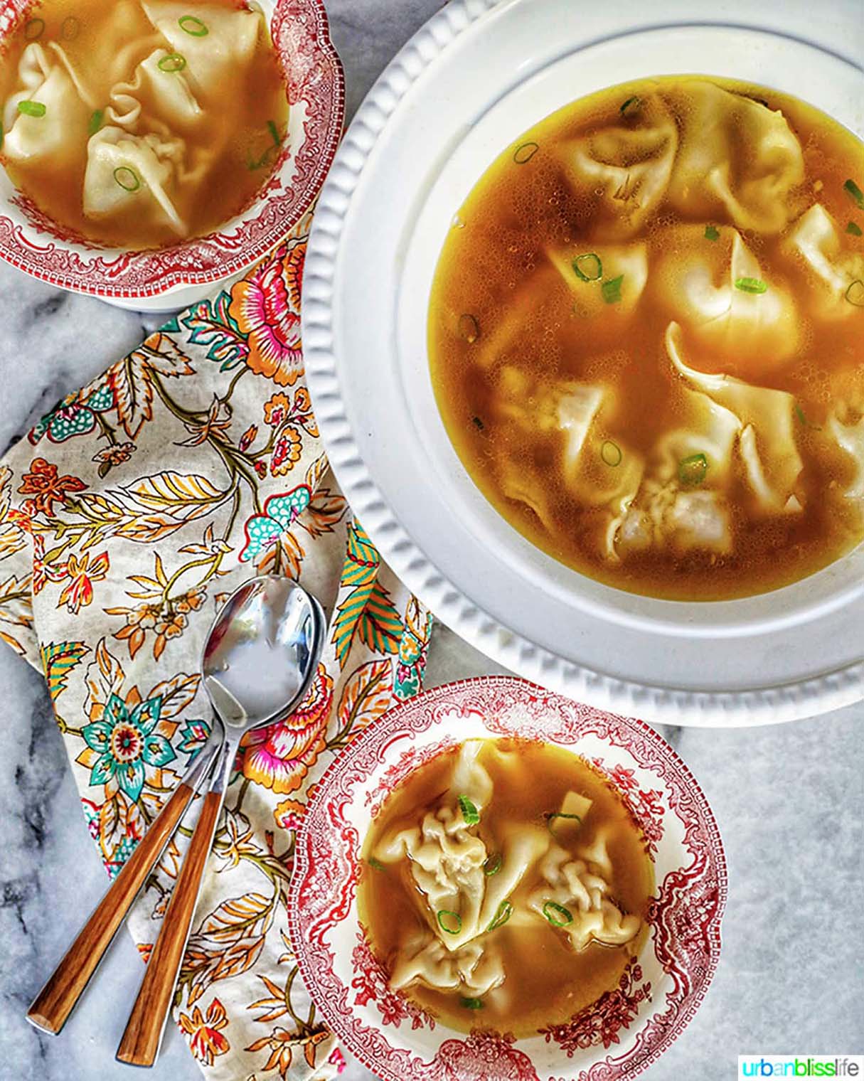Wonton Noodle Soup