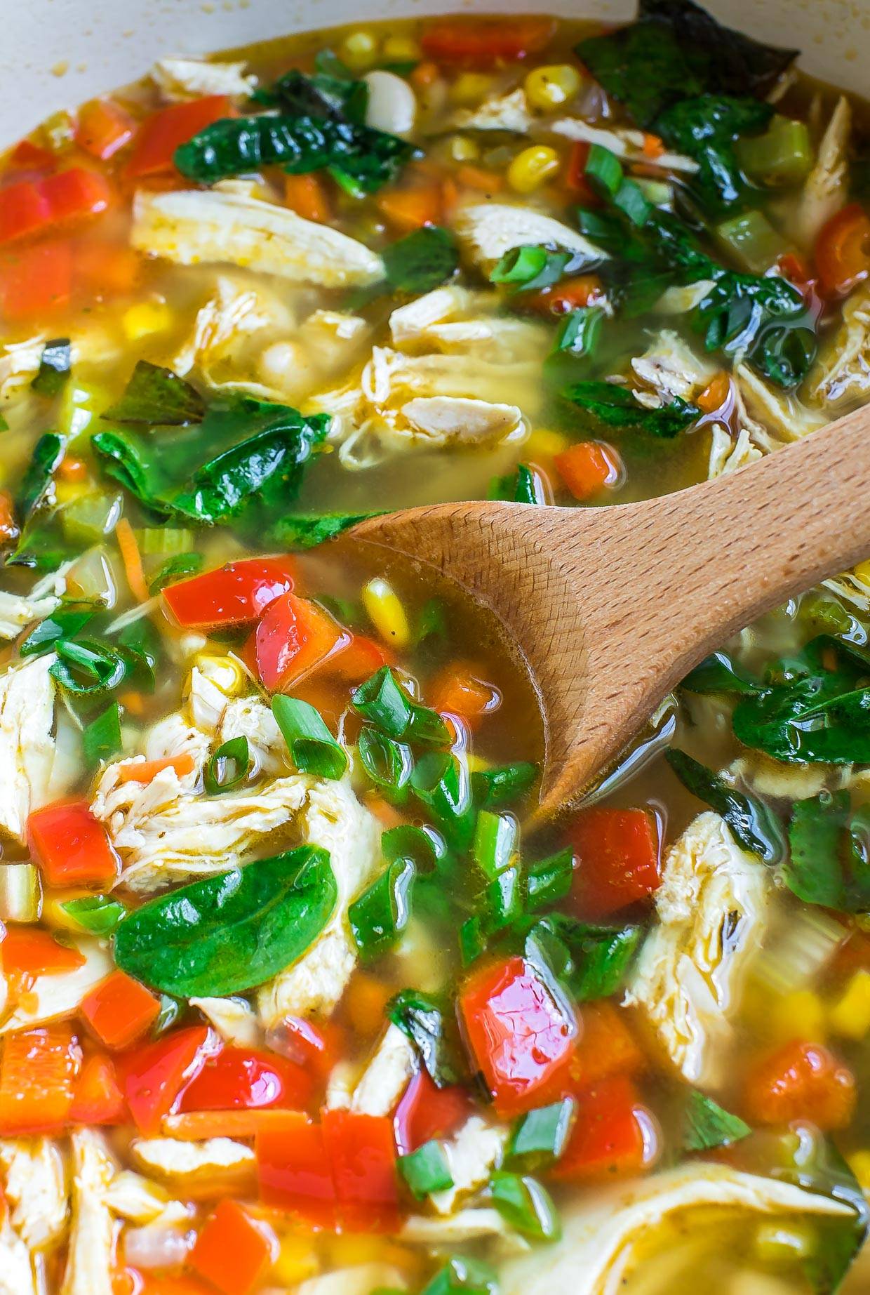 One-Pot Chicken and Vegetable Soup