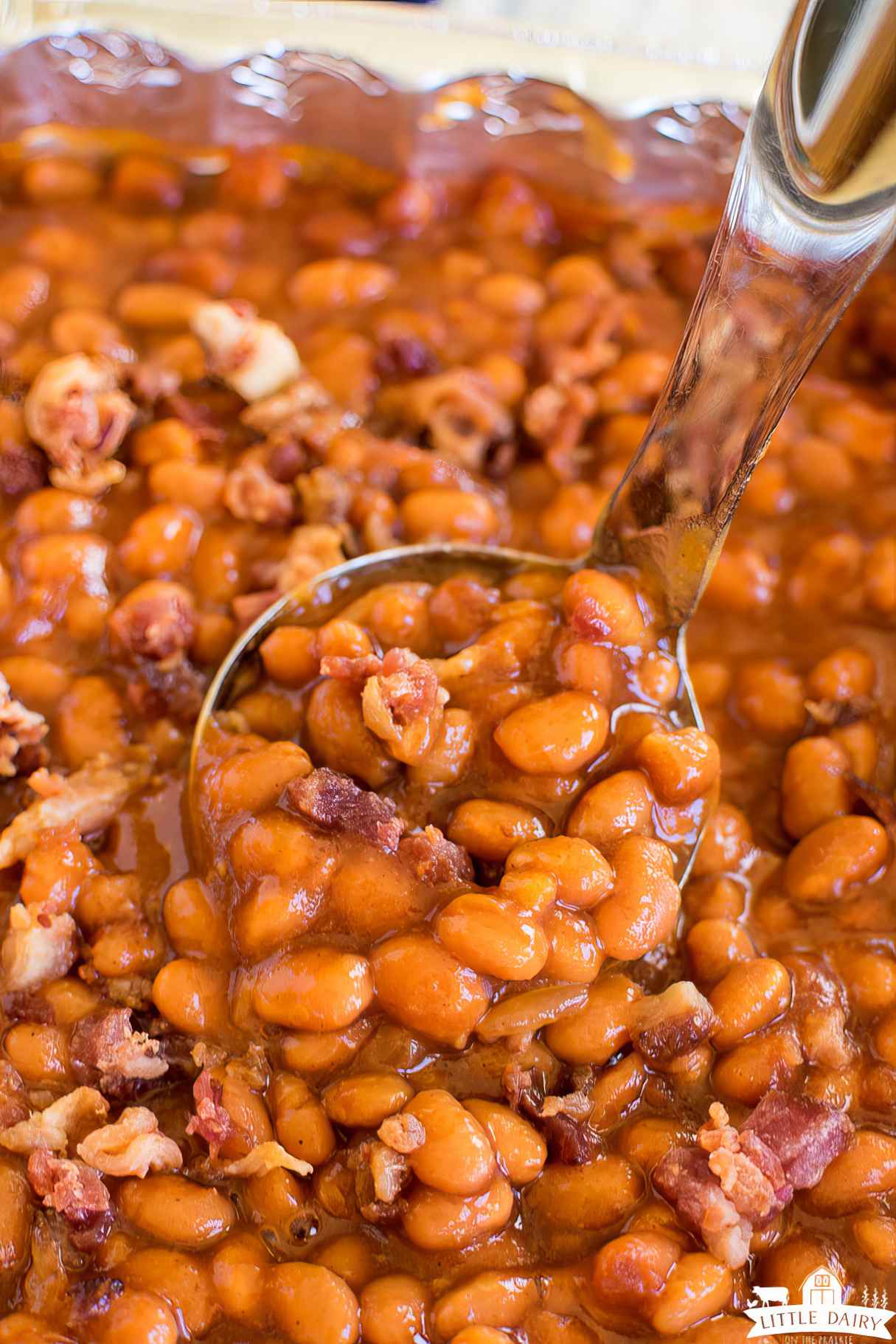 The BEST Smoked Baked Beans with Bacon and Brown Sugar Recipe