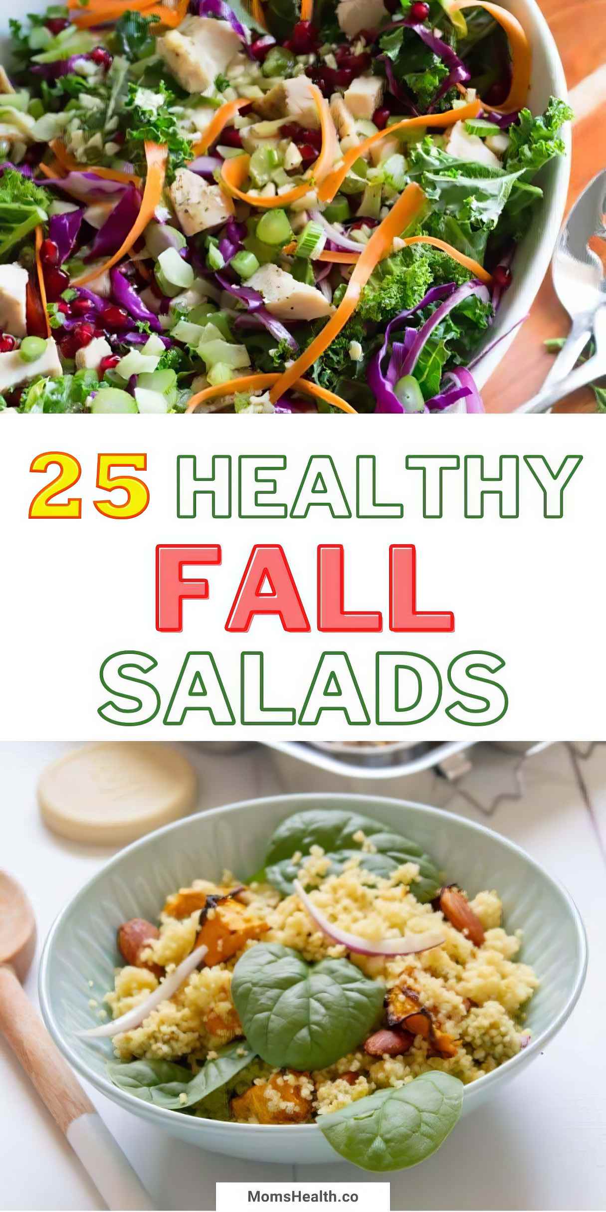 Summer Salad Recipes
