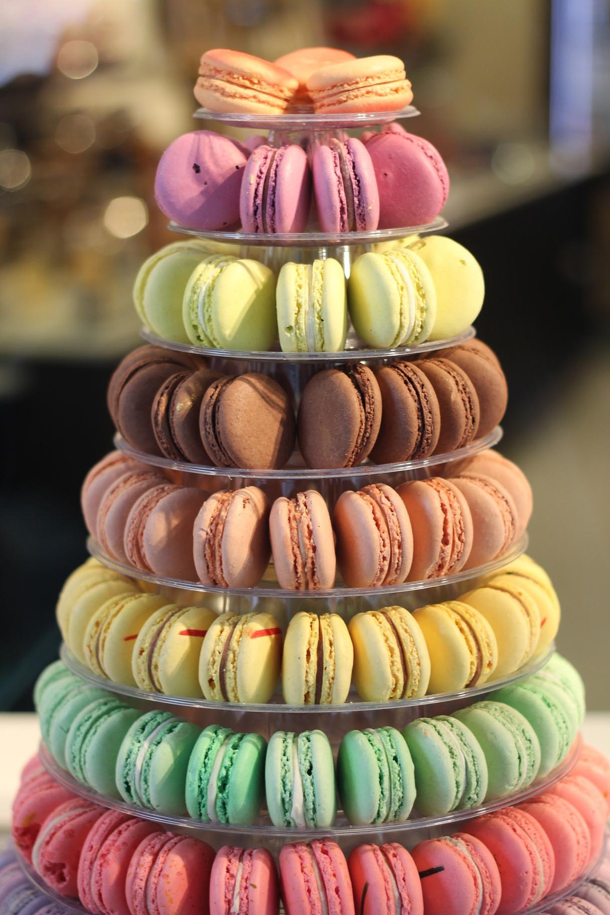 Festive French Macarons