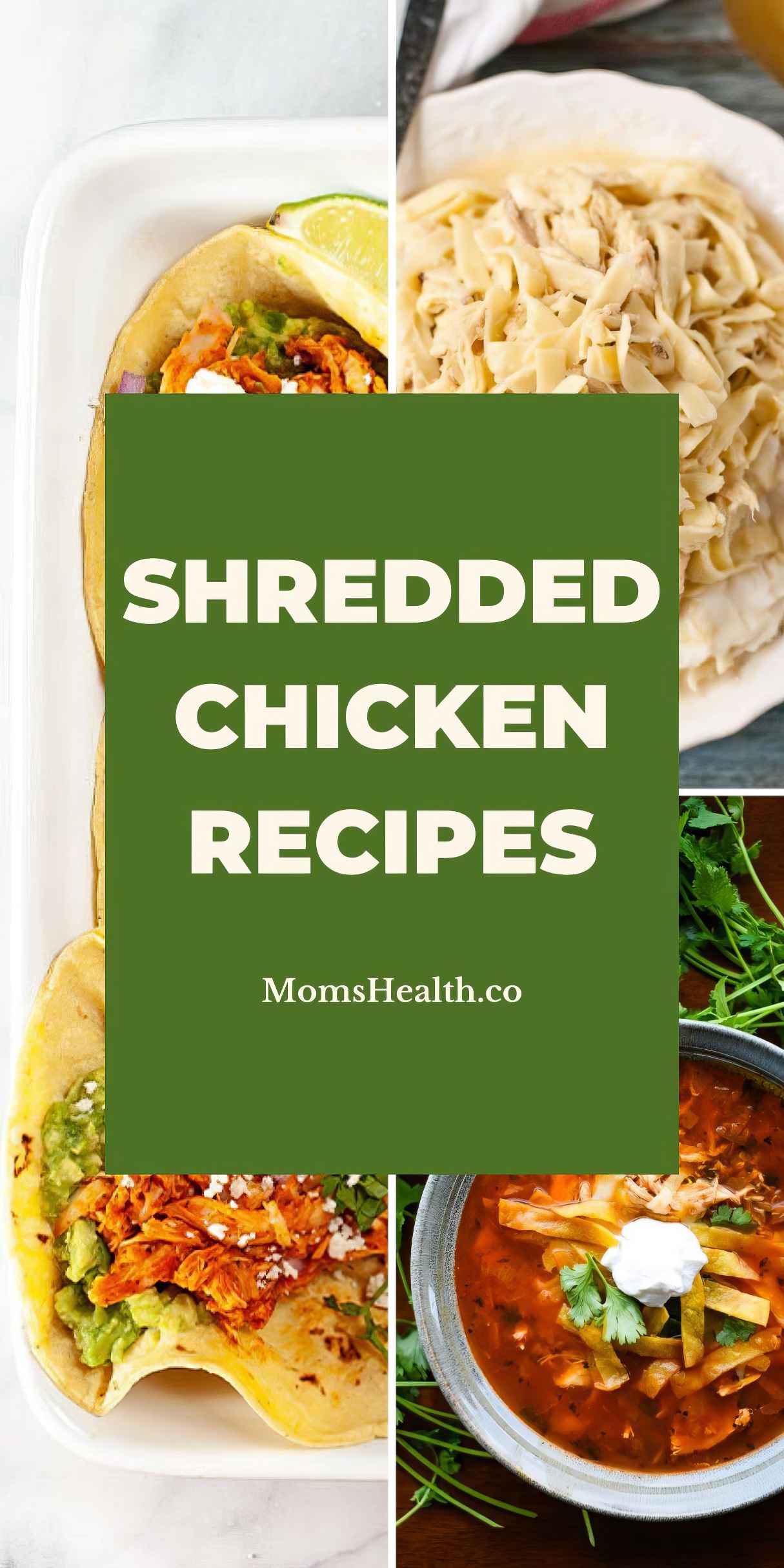 30 Shredded Chicken Recipes