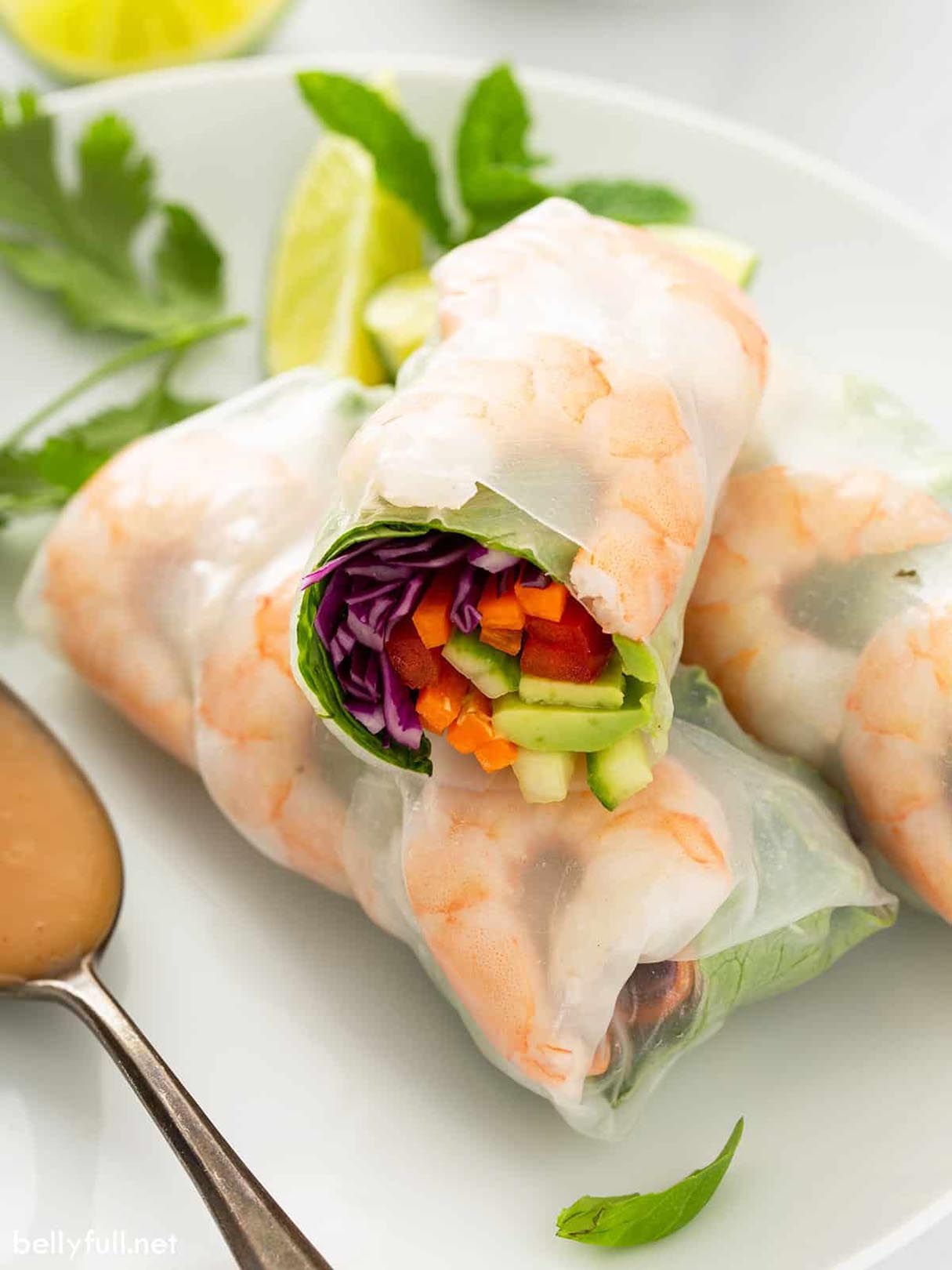 Fresh Vegan Spring Rolls