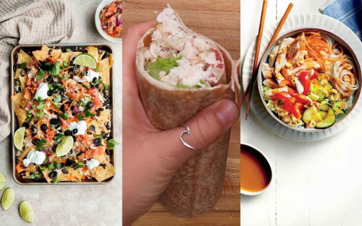 Shredded Chicken Recipes