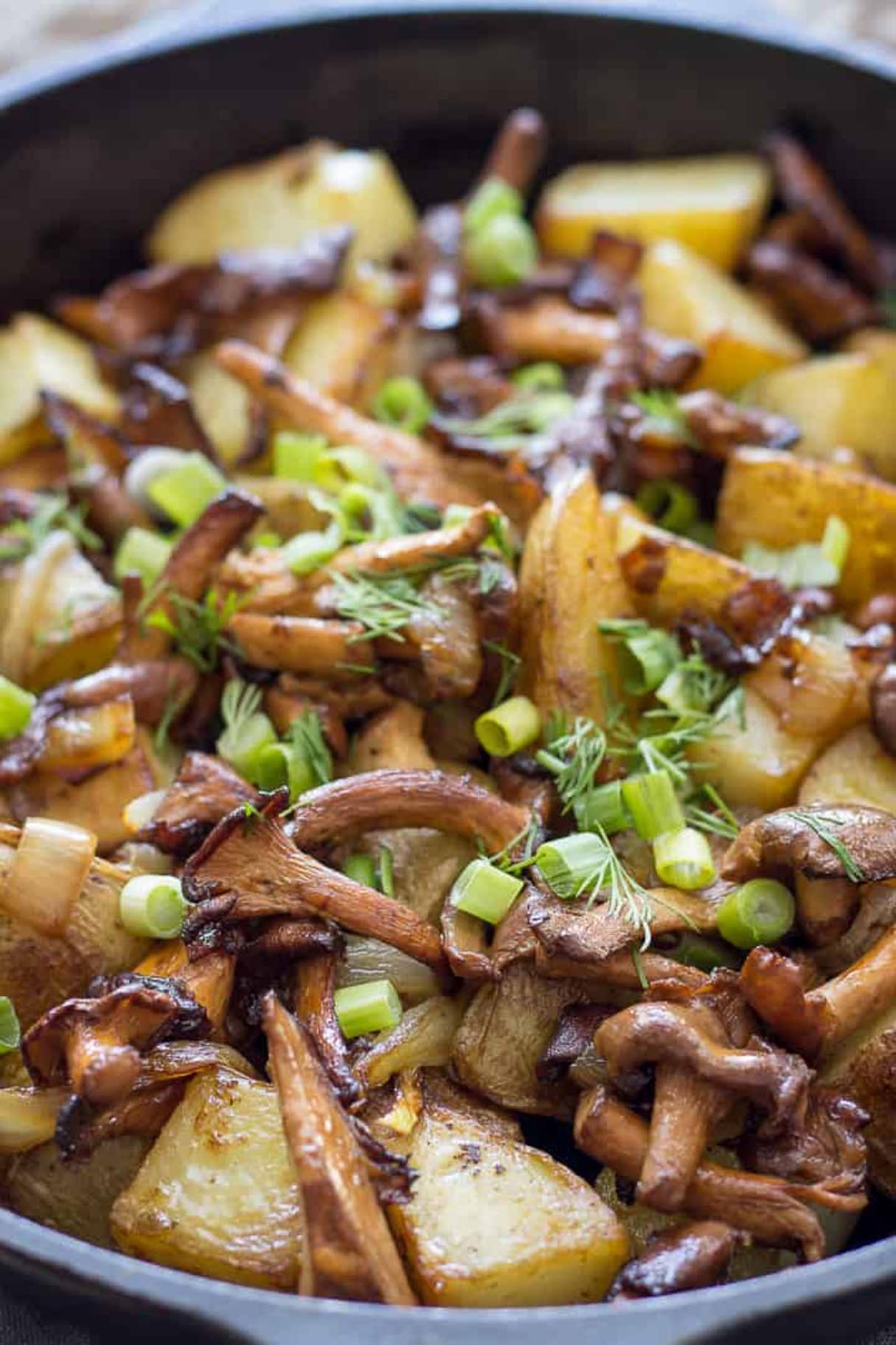15 Delicious Chanterelle Mushroom Recipes