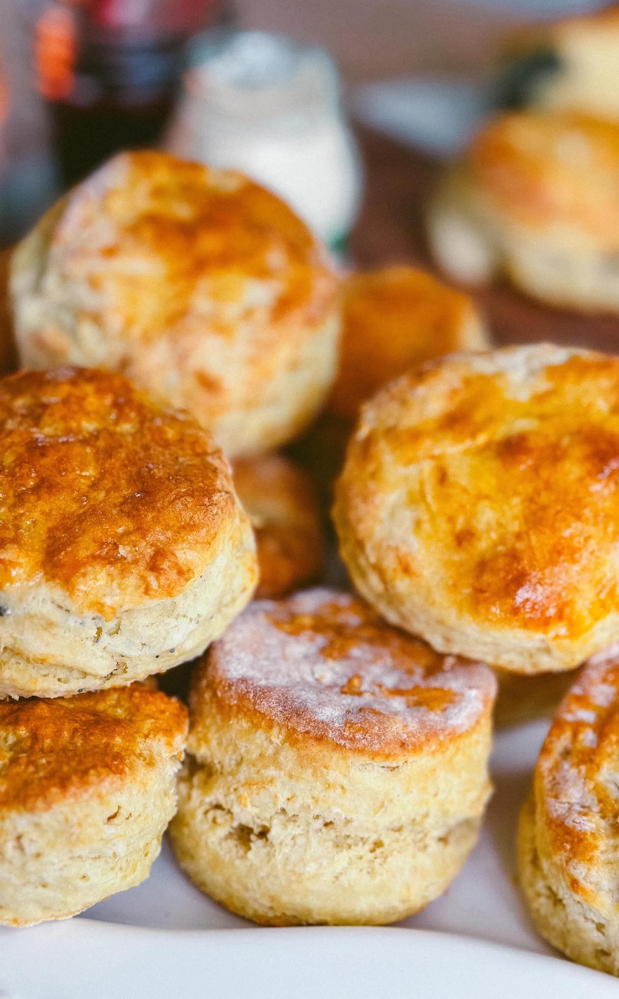 Classic British Biscuits - Best Pair for Wellness Tea!