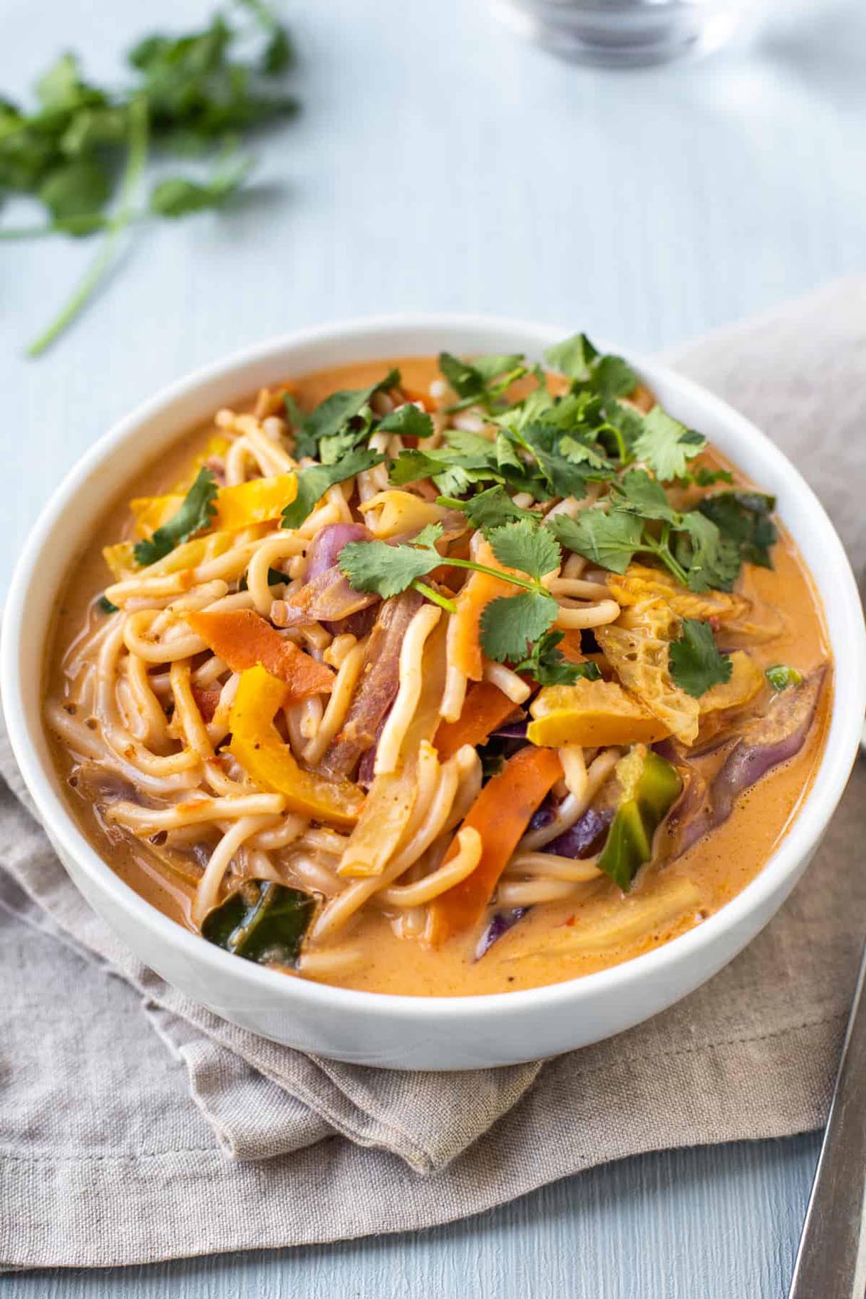 Thai Red Curry Vegetable Soup
