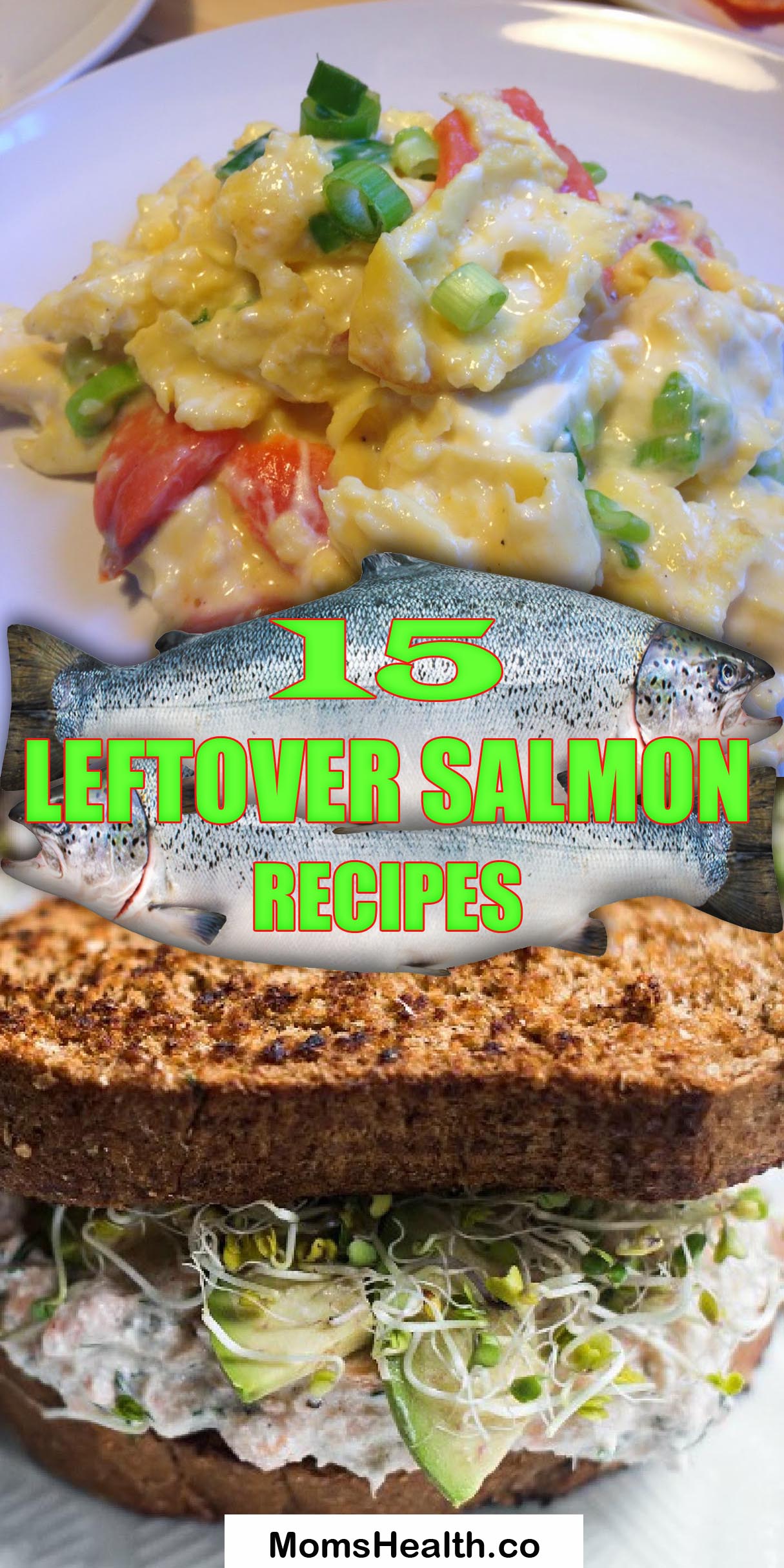 15 Leftover Salmon Recipes