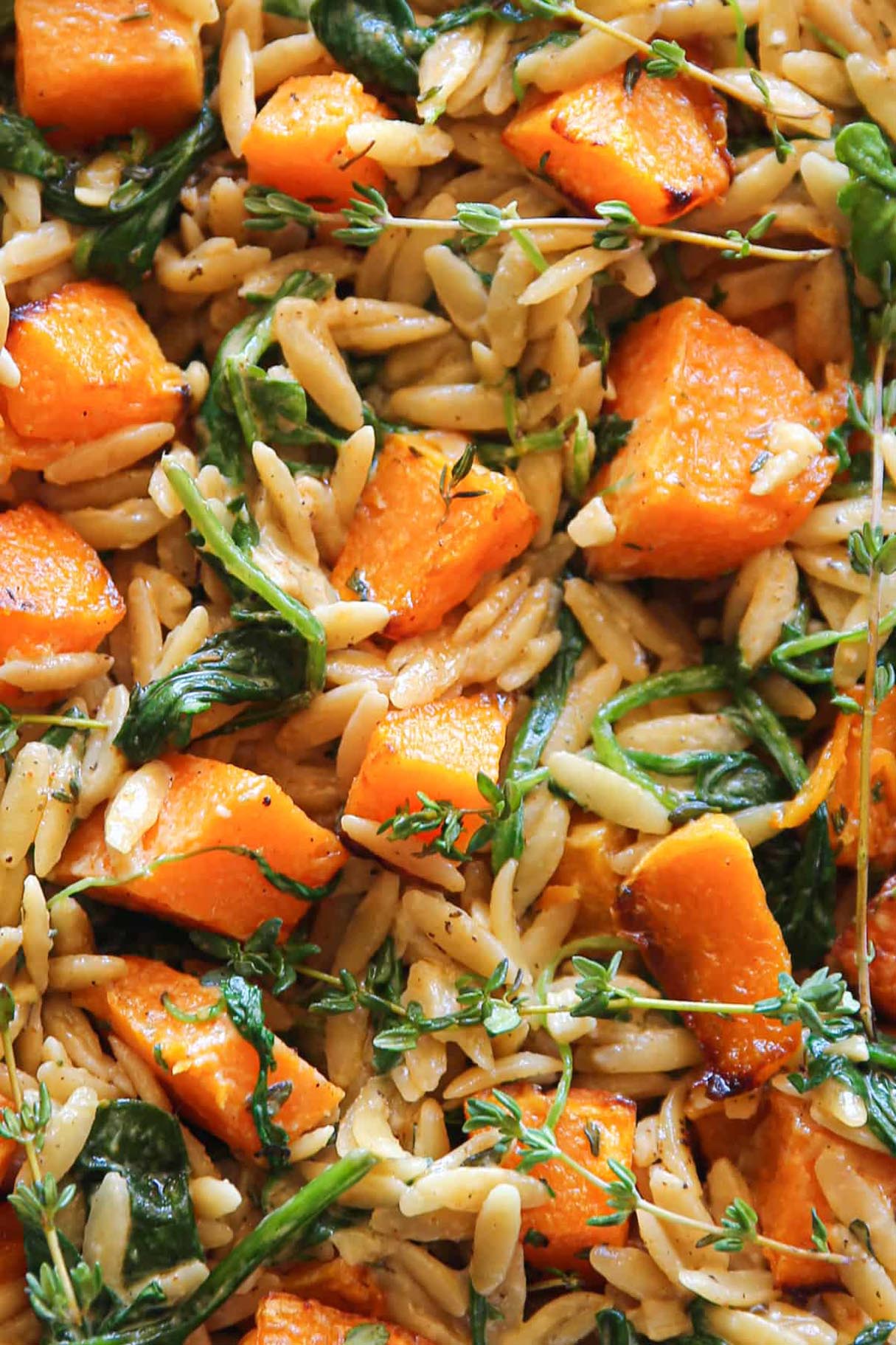 Creamy Orzo Pasta with Roasted Butternut Squash