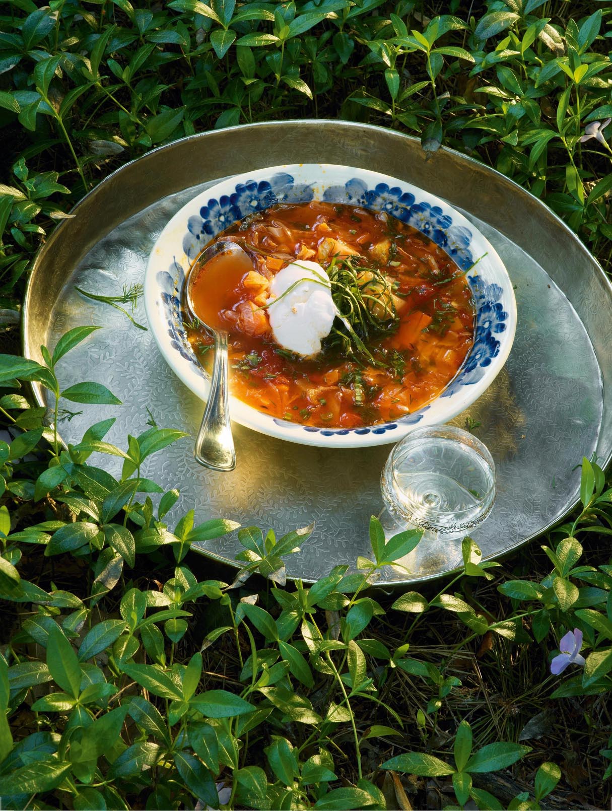Russian Cabbage Soup